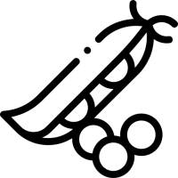 Бобові