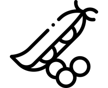 Бобові (0)